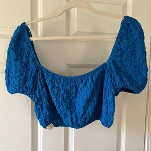 Zara Blue Puff Sleeve Smocked Crop Blouse